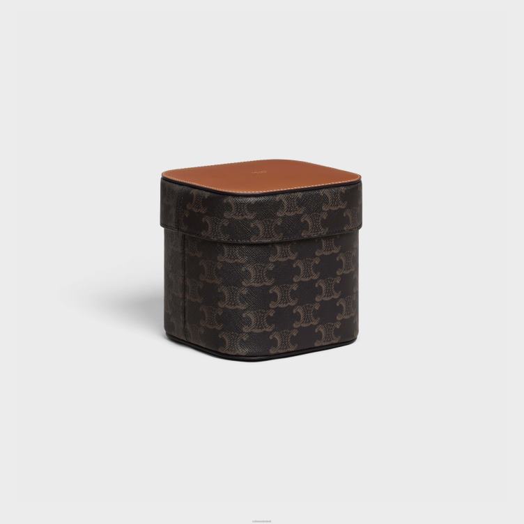 CELINE bruinen middelgrote doos van triomphe canvas en kalfsleer 4TLH81537