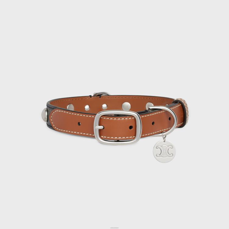 CELINE bruinen Middelgrote hondenhalsband van triomphe canvas en kalfsleer met studs 4TLH81739