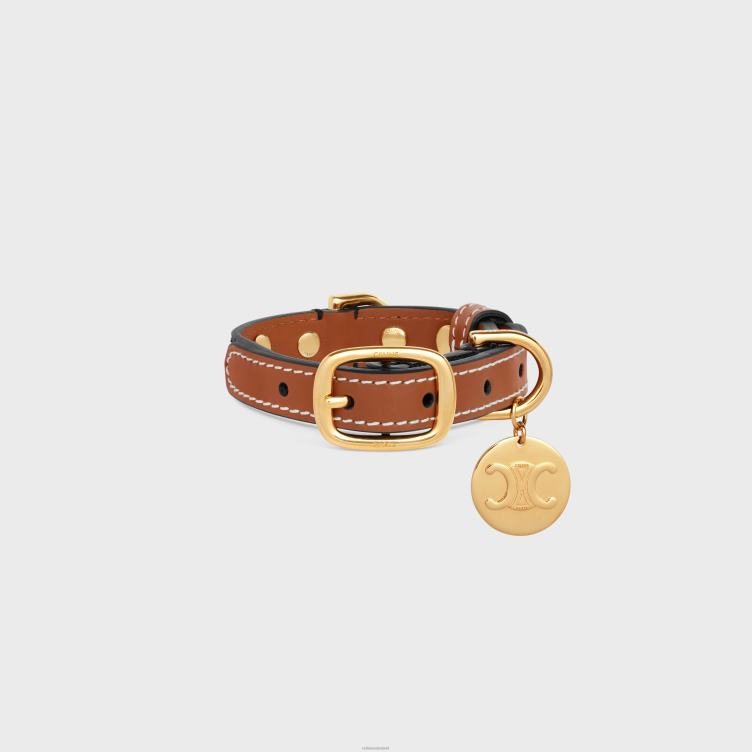 CELINE bruinen Nano extra dunne hondenhalsband van triomphe canvas en kalfsleer met studs 4TLH81751