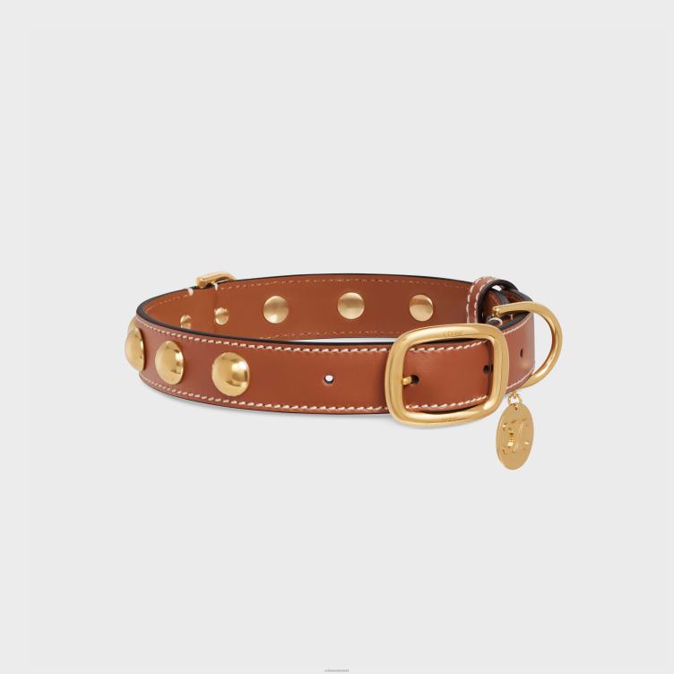 CELINE bruinen brede, middelgrote hondenhalsband van glad kalfsleer met studs 4TLH81760
