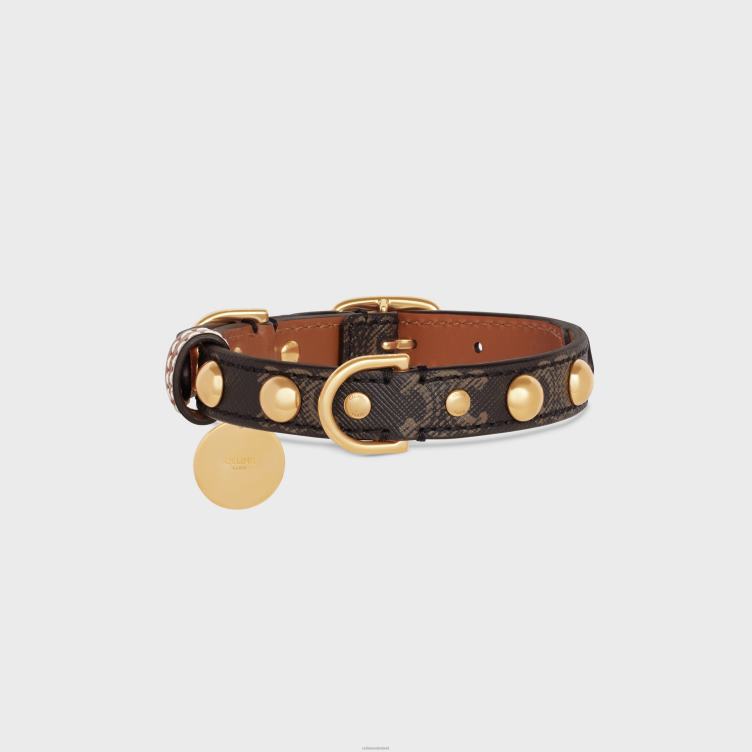 CELINE bruinen kleine dunne hondenhalsband van triomphe canvas en kalfsleer met studs 4TLH81752