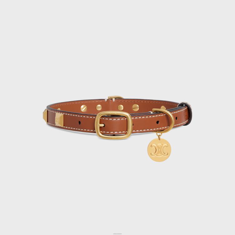 CELINE bruinen middeldunne hondenhalsband van glad kalfsleer met piramidevormige studs 4TLH81730