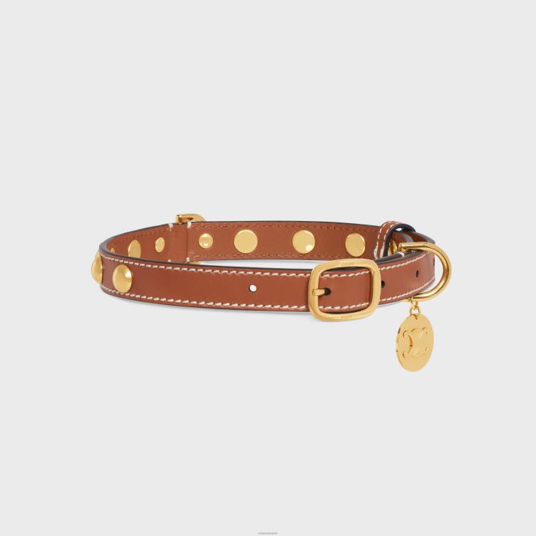 CELINE bruinen middeldunne hondenhalsband van glad kalfsleer met studs 4TLH81759