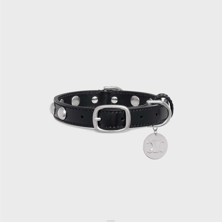 CELINE zwart kleine dunne hondenhalsband van glad kalfsleer met studs 4TLH81744