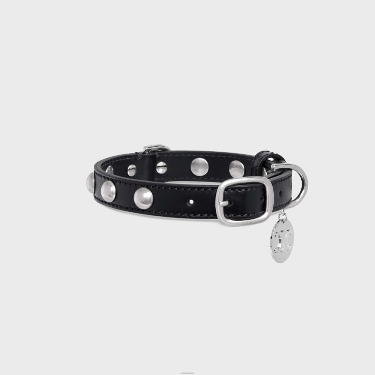 CELINE zwart kleine dunne hondenhalsband van glad kalfsleer met studs 4TLH81744