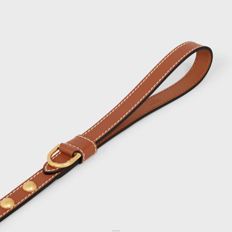 CELINE bruinen Dunne hondenriem van glad kalfsleer met studs 4TLH81761