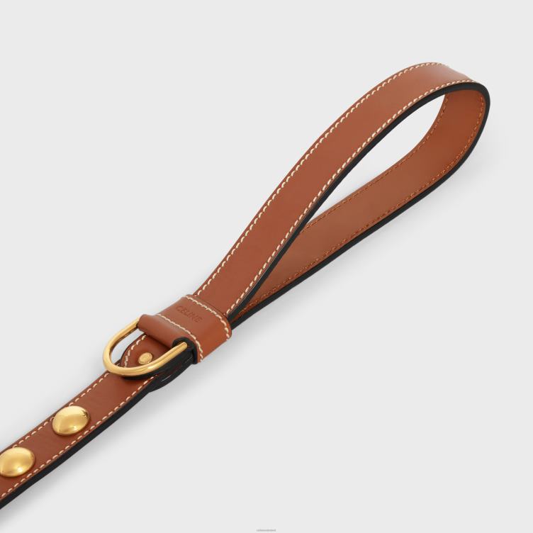 CELINE bruinen brede hondenriem van glad kalfsleer met studs 4TLH81762