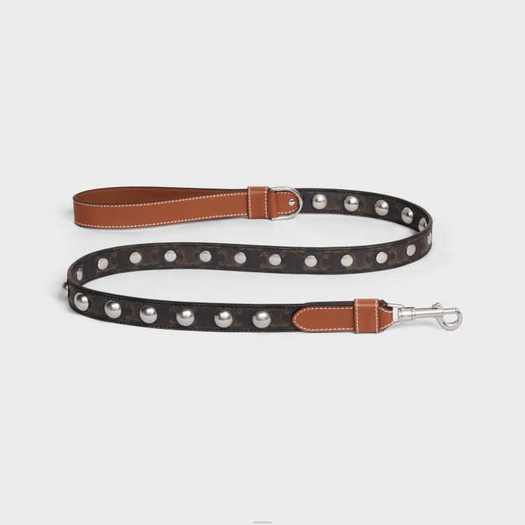 CELINE bruinen brede hondenriem van triomphe canvas en kalfsleer met studs 4TLH81742