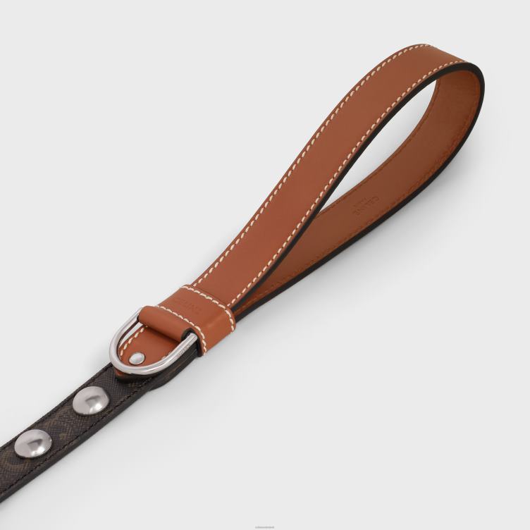 CELINE bruinen brede hondenriem van triomphe canvas en kalfsleer met studs 4TLH81742