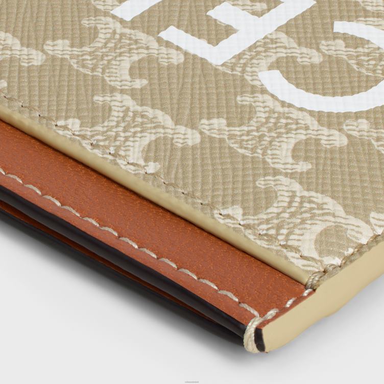 CELINE greg kaarthouder van triomphe canvas met print 4TLH8432