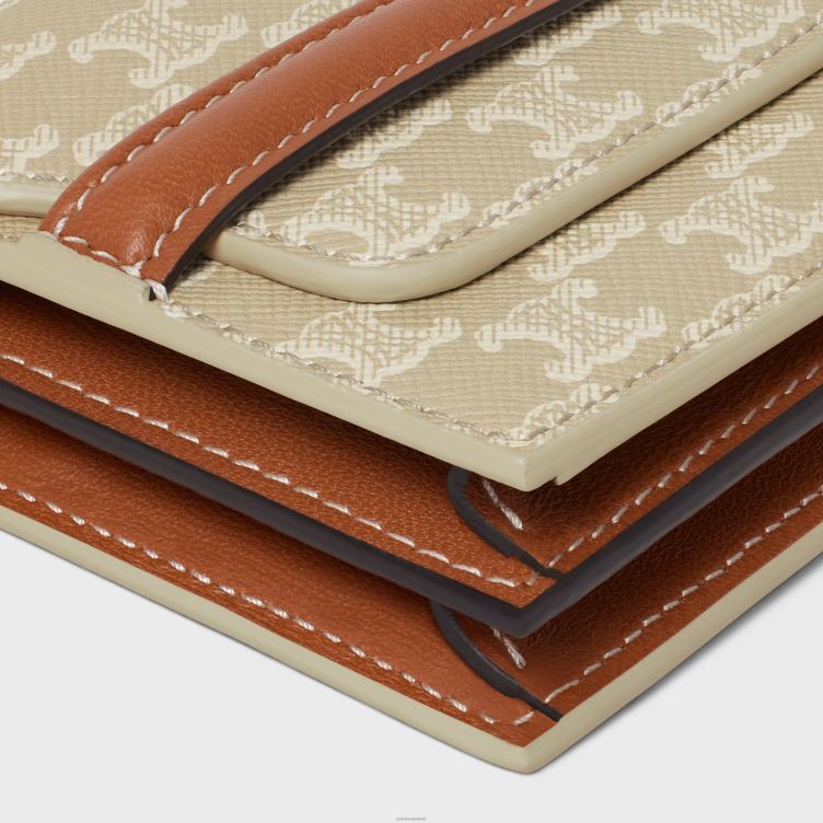 CELINE greg visitekaartjeshouder van triomphe canvas en lamsleer 4TLH8502